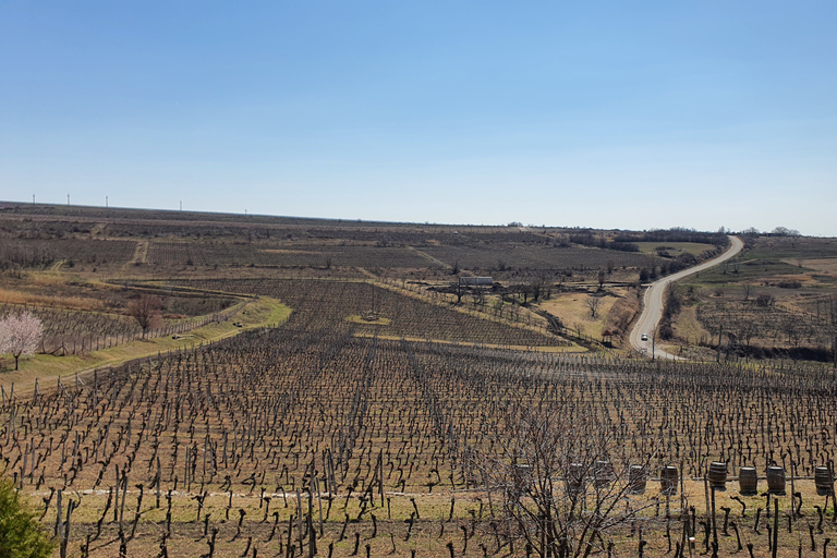 Bucharest: Dealu Mare Vineyards Day Trip with Wine Tasting