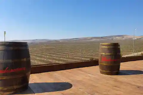 Bucareste: Visita privada à adega Dealu Mare com prova de vinhos