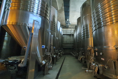 Bucharest: Dealu Mare Winery Private Trip with Wine Tasting