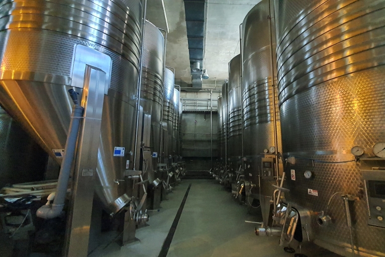 Boekarest: dagtrip naar Dealu Mare-wijngaarden met wijnproeverij
