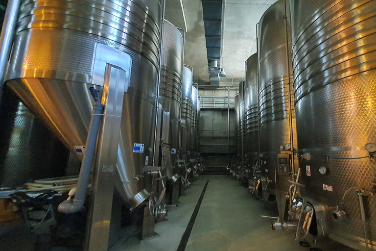 Bucharest: Dealu Mare Vineyards Day Trip with Wine Tasting