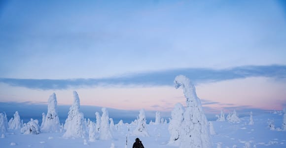 Rovaniemi: Tagestour zum Riisitunturi-Nationalpark mit Mittagessen