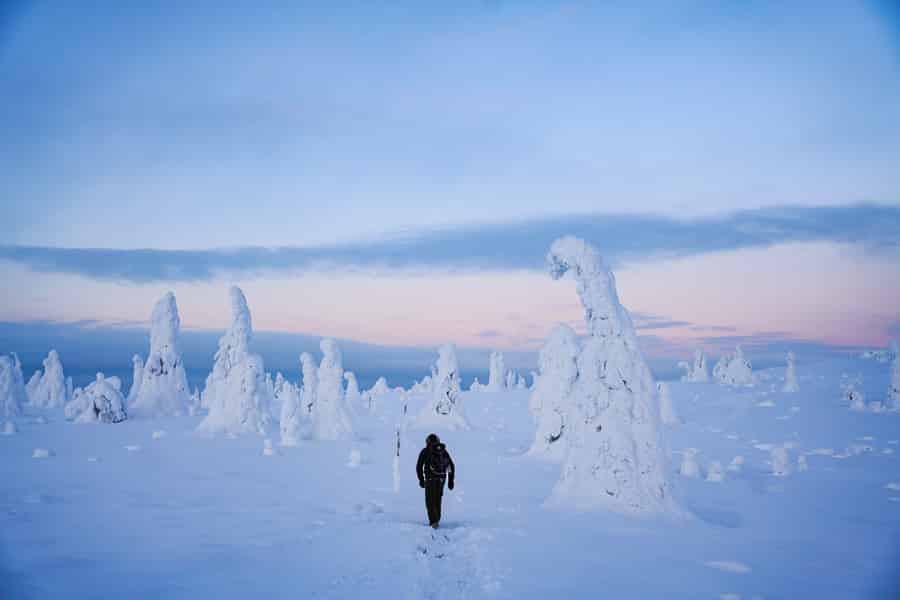Rovaniemi: Tagestour zum Riisitunturi-Nationalpark mit Mittagessen. Foto: GetYourGuide