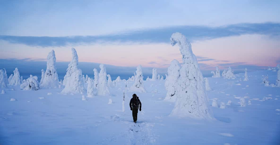 Rovaniemi: Excursión de un día al Parque Nacional de Riisitunturi con ...