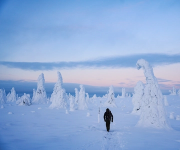 Rovaniemi: Wycieczka 1-dniowa do Parku Narodowego Riisitunturi z lunchem
