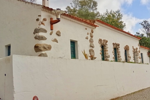 Vanuit Quarteira, Albufeira of Portimão: Silves & MonchiqueGedeelde rondleiding