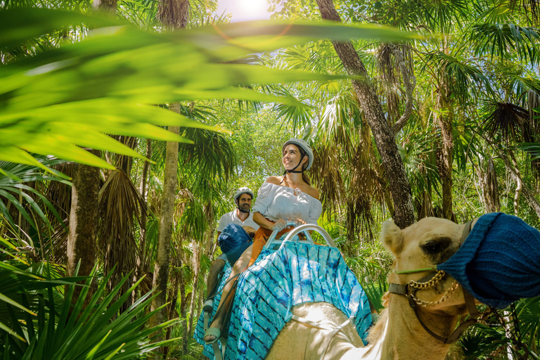 Riviera Maya : expédition en caravane à dos de chameau et accès au club de plageDe la Riviera Tulum