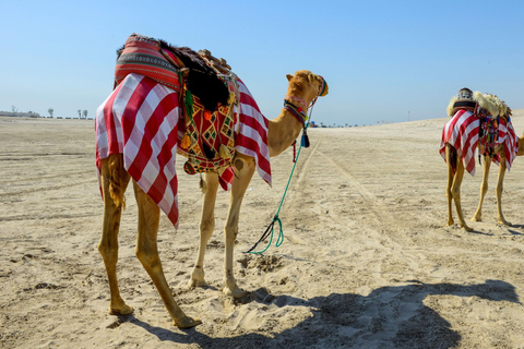 Doha: Combo City Tour and Desert Safari with Camel Ride
