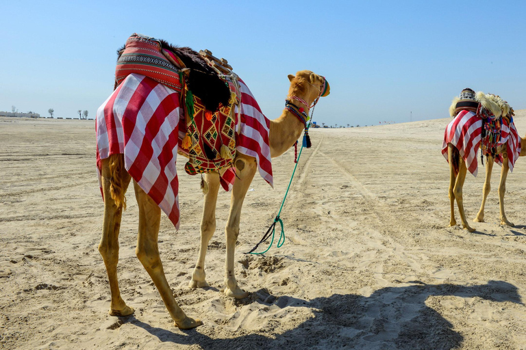 Doha: Combo City Tour and Desert Safari with Camel Ride