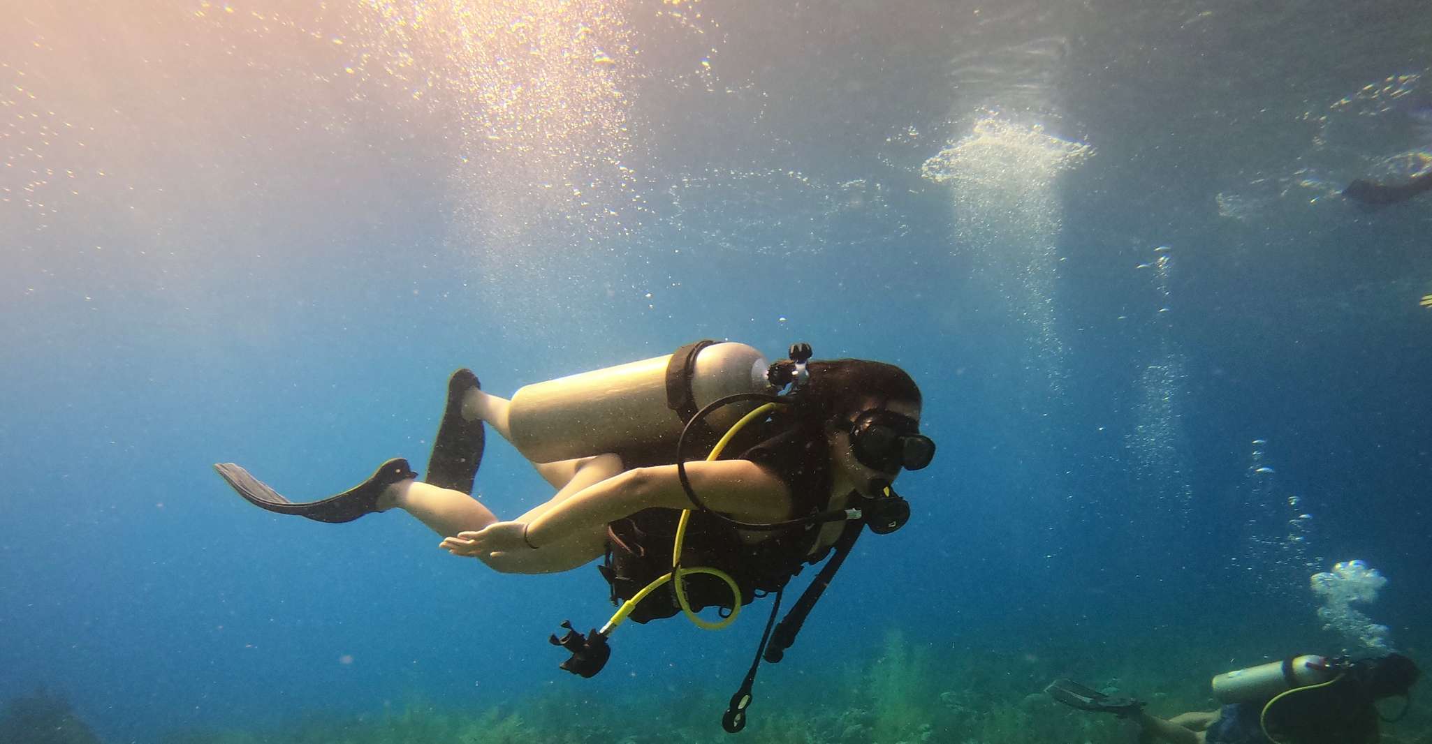 San Andrés, Voyage de plongée guidée avec transfert hôtelier - Hizvo
