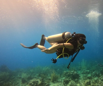 San Andrés: Guided Scuba Diving Trip with Hotel Transfer