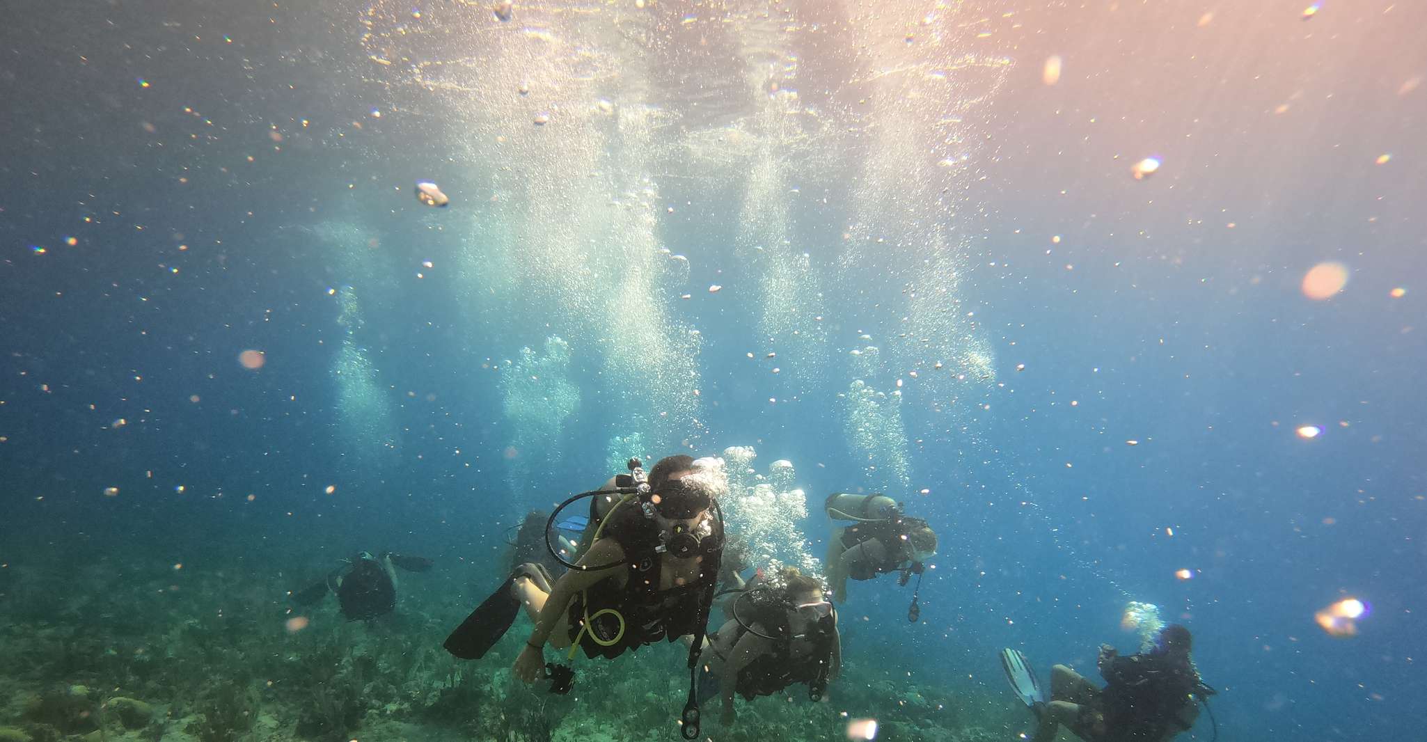 San Andrés, Viaje Guiado de Buceo con Traslado Hotelero - Hizvo