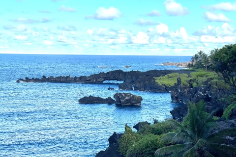 Excursión por la auténtica ruta a Hana (Excursión privada en jeep)Maui: Excursión Privada de un Día por la Carretera de Hana en Jeep con Guía