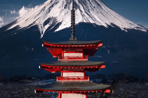 From Tokyo: Mount Fuji Private Customizable Tour with Guide