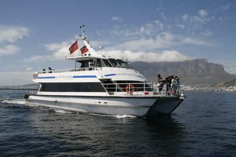 Cape Town: Coastal Catamaran Cruise