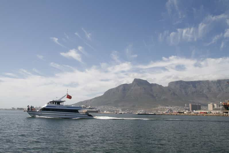 Cape Town: Coastal Catamaran Cruise | GetYourGuide