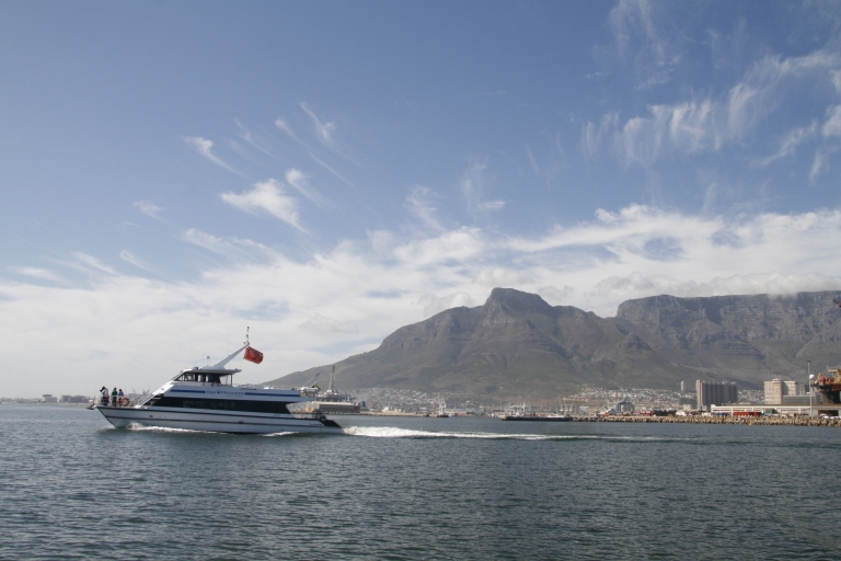 Le Cap : croisière en catamaran le long de la côte