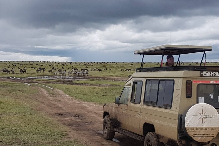 Van Arusha: privé 4-daagse Tanzania-reis met accommodatie en maaltijden