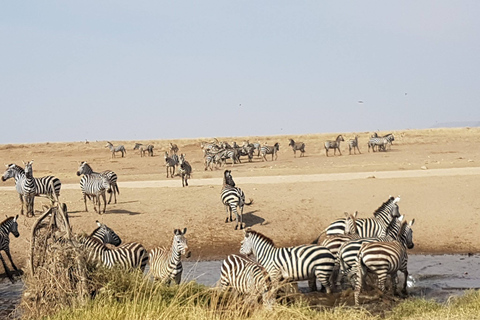 Arusha: 4-daagse Serengeti en Ngorongoro kampeersafari