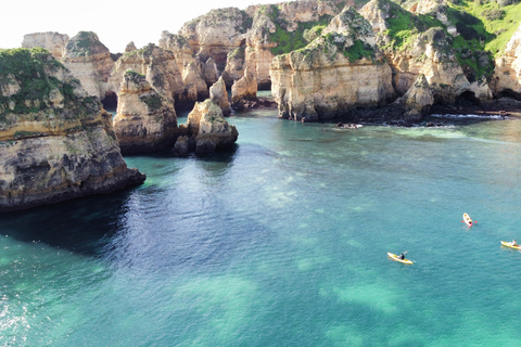 Från Lagos: Kajakupplevelse i Ponta da Piedade