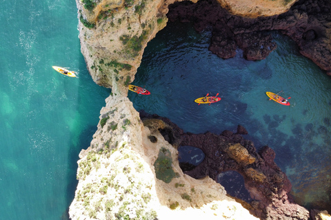 Från Lagos: Kajakupplevelse i Ponta da Piedade