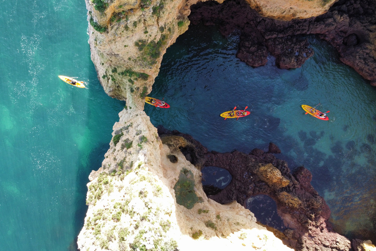 Från Lagos: Kajakupplevelse i Ponta da Piedade