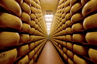 Parma, tour e degustazione di Parmigiano-Reggia - Housity