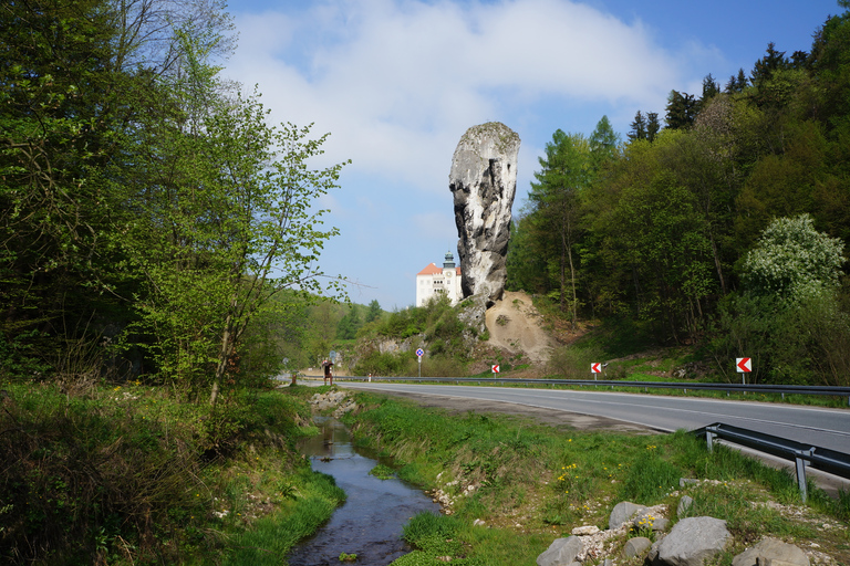 Ab Krakau: Nationalpark Ojców & Schloss Pieskowa Skała