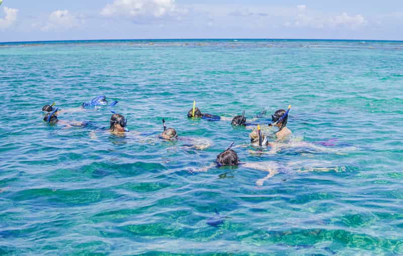 Caye Caulker Hol Chan Marine Reserve 7Stop Snorkeling Tour GetYourGuide