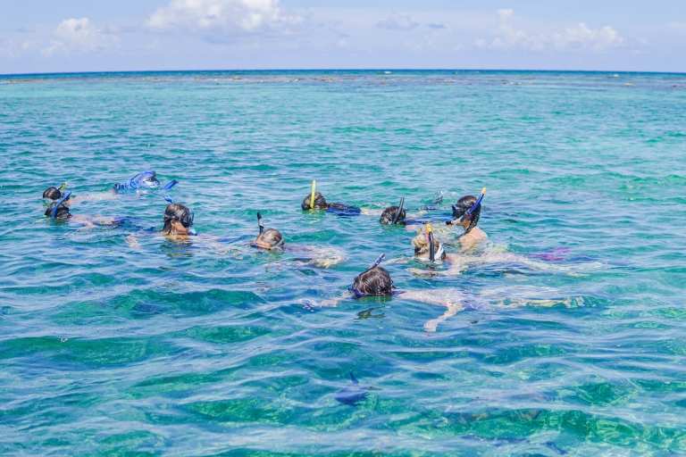 Caye Caulker: Hol Chan Marine Reserve 7-Stop Snorkeling Tour Private Tour