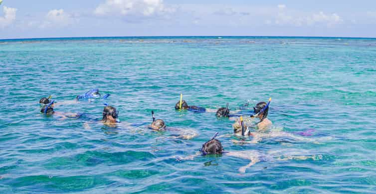 Caye Caulker: Hol Chan Marine Reserve 7-Stop Snorkeling Tour | GetYourGuide