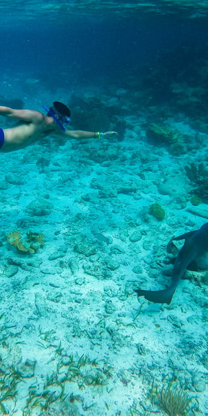 Caye Caulker: Hol Chan Marine Reserve 7-Stop Snorkeling Tour | GetYourGuide