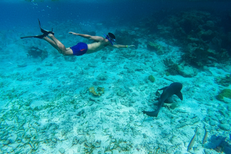 Caye Caulker : circuit de plongée libre à 7 arrêts dans la réserve marine de Hol ChanVisite partagée