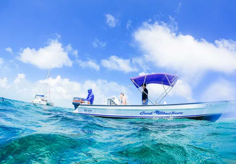 caye caulker hol chan tour