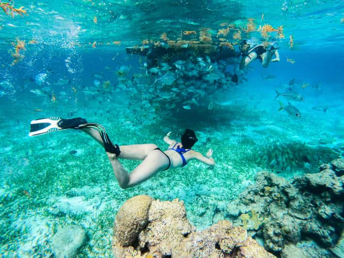 Caye Caulker Hol Chan Marine Reserve 7Stop Snorkeling Tour GetYourGuide