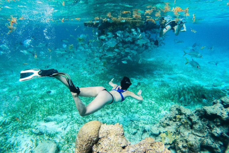Caye Caulker: Excursión de 7 paradas para hacer snorkel en la Reserva Marina de Hol ChanVisita compartida