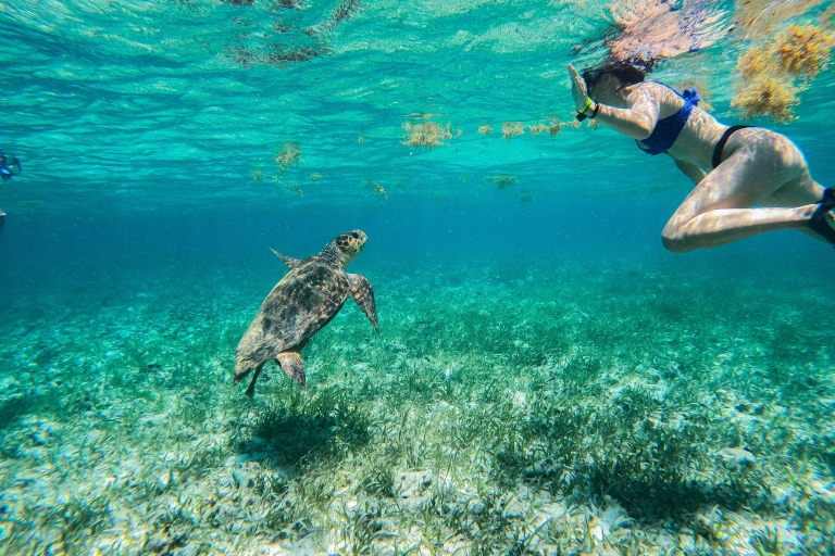 Caye Caulker: Excursión de 7 paradas para hacer snorkel en la Reserva Marina de Hol ChanVisita privada