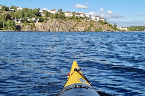 Stockholm : Excursion en kayak au palais royal de Drottningholm