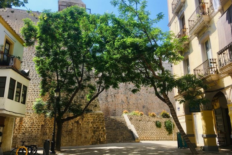 Casco antiguo de Ibiza: 2 h. Guía de habla alemanaVisita privada