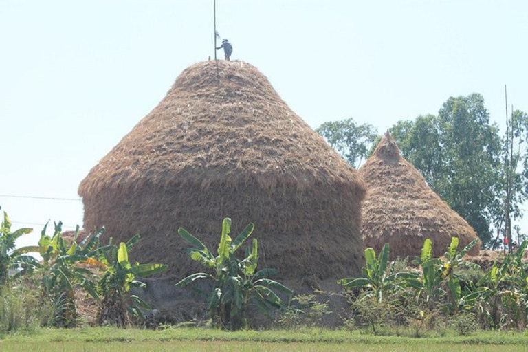 Day Trip My Son Sanctuary With Transfer & Lunch