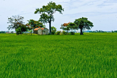 De Hoi An: Viagem de um dia ao Santuário de My Son com traslado e almoço