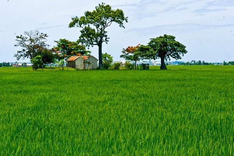 Da Hoi An: Escursione di un giorno al santuario di My Son con trasferimento e pranzo