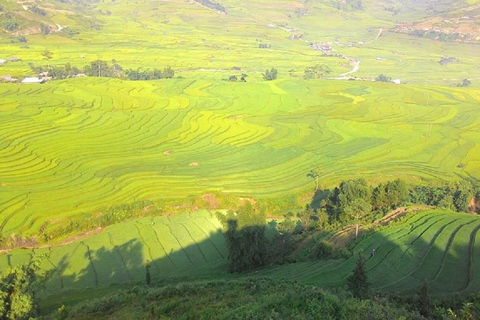 Van Hanoi: 2-daagse Sapa-trekking naar dorp en bungalow