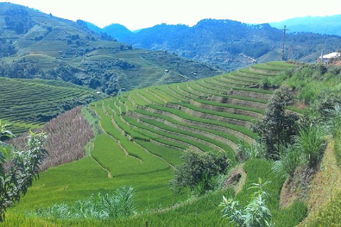 Au départ de Hanoi : 2 jours de trekking à Sapa vers un village et un bungalow.