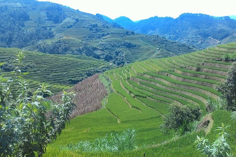 Från Hanoi: 2 dagars vandring i Sapa till en by och en bungalow