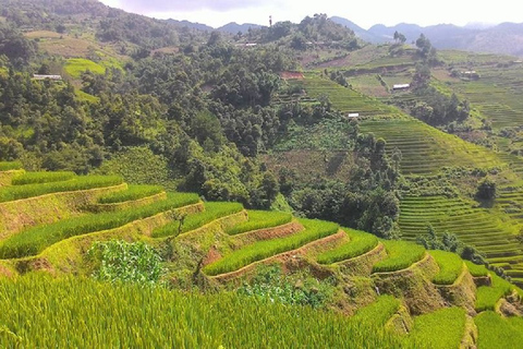 Desde Hanoi: Trekking de 2 días por Sapa hasta la aldea y el bungalow