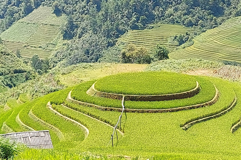 Desde Hanoi: Trekking de 2 días por Sapa hasta la aldea y el bungalow