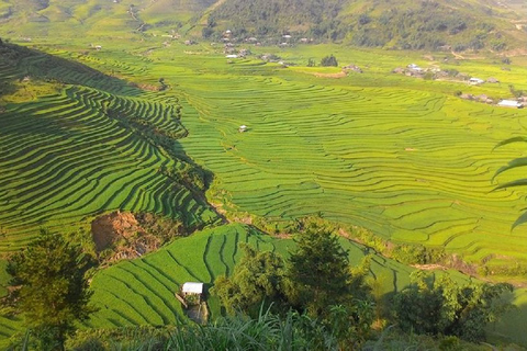 Desde Hanoi: Trekking de 2 días por Sapa hasta la aldea y el bungalow