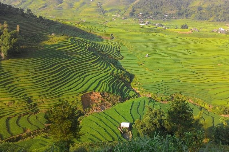 Van Hanoi: 2-daagse Sapa-trekking naar dorp en bungalow