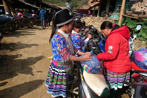 Från Hanoi: 2 dagars vandring i Sapa till en by och en bungalow